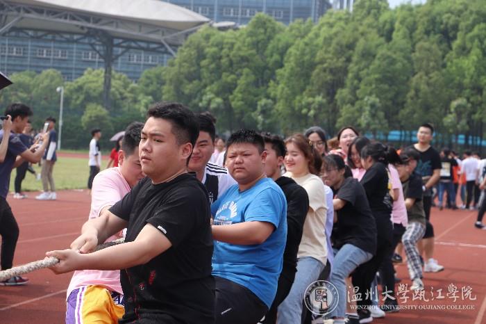 拔河.jpg