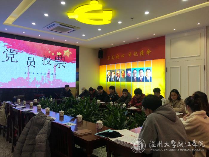 党员投票.JPG