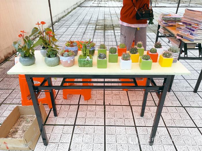 绿植展示.jpg